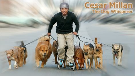 cesar-millan-dog-whisper.jpg