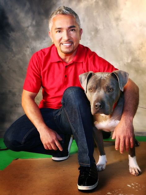dog-whisperer-cesar-millan-and-junior.jpg